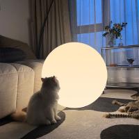 Lámpara de pie de globo moderna, decoración estética para sala de estar, dormitorio, lámpara de bola LED brillante para interiores - details 1