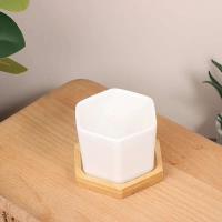 Bandeja de cerámica hexagonal blanca simple europea ETA, contenedor de plantas jugosas, bonsai pequeño ETA - details 10