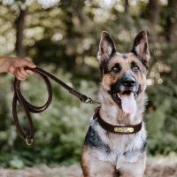 perro cuero auténtico, conjunto de Collar personalizado mascotas correa, placa con grabado gratis para perros pequeños, medianos - details 9