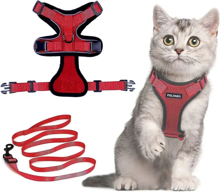Bufanda para gatos con correa, bufanda y correa para gatos, bufanda ajustable para gatos, bufanda para gatos y chaleco transpirable con cuello, se adapta a gatos europeos, suministros persa para mascotas, alfiler - 1