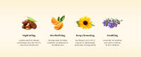 5_Key Ingredients