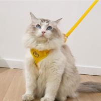 Chaleco con arneses ajustables para mascotas con mochila y correa, juego de correa suave para perro, correa para el pecho transpirable para gato al aire libre - details 6