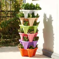 Nuevo Maceta apilable para plantas de plántulas, máquina de siembra de fresas de plástico, - details 1