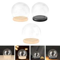 Cúpula de vidrio transparente con Base de madera, estuche de exposición para casa de muñecas, ración de campana, pedestales, soporte para micropaisaje - details 1