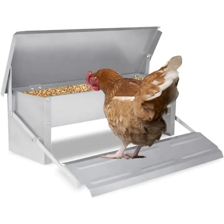 Comedero automático para gallinas, 5 kg, de acero galvanizado, para aves de corral, resistente al agua y a prueba de ratas - 1