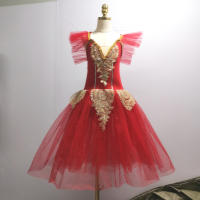 Falda de tutú de Ballet azul para mujer, vestido romántico largo para niña, ropa de actuación, faldas de danza del vientre de cisne - details 2