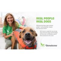 introducción benebone