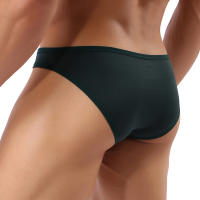 Hombres Sexy De Tiro Bajo Bulto Pouch Calzoncillos Calzoncillos De Malla Ropa Interior Bragas Bikini Hombre Hombre Hollow Lencería Slips - details 0