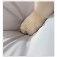 Cama impermeable para mascotas, estera para dormir para perros pequeños, medianos y grandes, sofás para gatos, casa de perrera, productos para mascotas - details 6