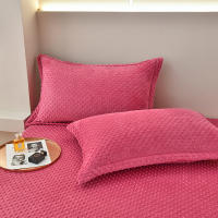 Bonenjoy-funda de almohada de terciopelo cálido, Fundas de cojín de Color sólido, 2 piezas, rectangular, 48x74cm - details 5