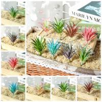 Plantas suculentas artificiales de PVC, Mini plantas artificiales flocadas realistas, bricolaje, decoración del hogar - details 3