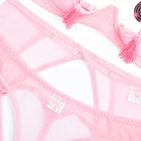 Conjunto de Sujetador Transparente con Borlas de Cuatro Piezas Lencería Sexy para Mujeres - details 22