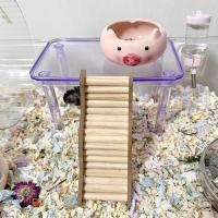 Plataforma transparente para hámster, soporte desmontable de altura ajustable para paisajismo, jaula decorativa para mascotas - details 7