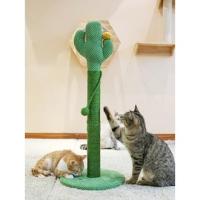 猫抓板、猫用仙人掌、仙人掌