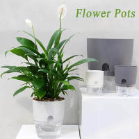 Macetas de flores hidropónicas de eneldo verde, suministros de jardín de doble capa, purificador de aire, irrigación automática de oficina, decoración del hogar - details 4