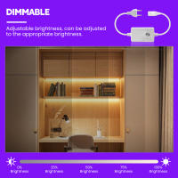Tira de Luces LED COB de Alta Calidad 220V RA90 Super Brillante con 288LEDs/m Flexible para Exteriores Impermeable con Enchufe EU XUNATA - details 4