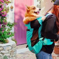 Mochila para mascotas transpirable reflectante para cachorros, para Corgi Bulldog, perros grandes, bolsa de viaje ajustable para senderismo al aire libre - details 10