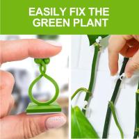 Clips De Fijación De Pared Para Trepar Plantas, Clips De Pared Para Enredaderas De Plantas, Gancho De Soporte Para Plantas De Pared, Clips De Enredadera De Soporte De Plantas Invisibles, Gancho Autoadhesivo Para Plantas Trepadoras De Interior Y Exterior - details 1