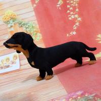 Juguete de peluche 3D realista hecho a mano para mascotas, modelo de perro, animales, perro salchicha, juguete de simulación - details 4