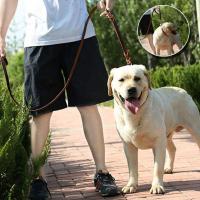 Productos para mascotas con gancho de cobre, correa de cuero trenzada para perro, cuerda de tracción larga y suave para perro, marrón duradero para exteriores - details 1