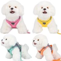 Arnés Ajustable para Perros Pequeños Ideal para Cachorros y Gatos Conjunto de Correa para Caminar al Aire Libre - details 1