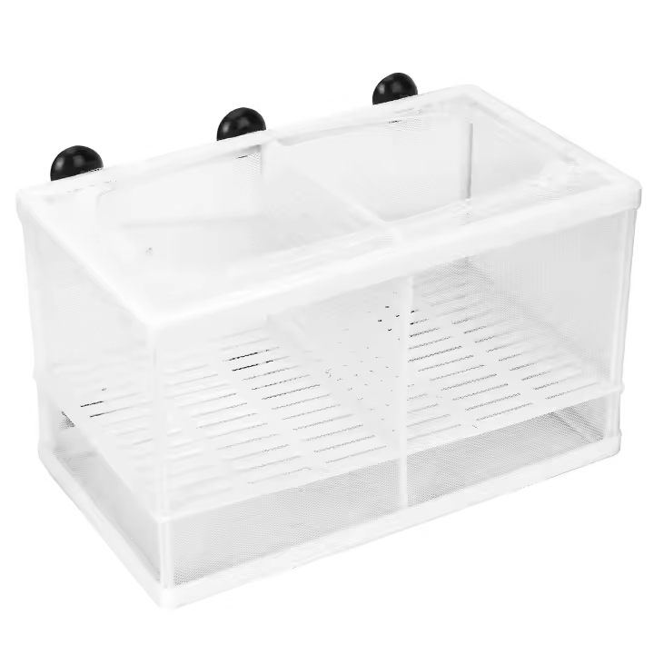 Caja de aislamiento para criadero de peces de acuario, incubadora con succión CupL, con partición - 1