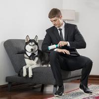 Rodillo adhesivo para quitar el pelo de mascotas, Herramientas de limpieza de pelusa, elimina el polvo y la ropa, Con recargas - details 2