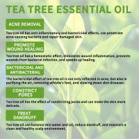 Aceite esencial de árbol de té para reparar el cabello, hidratante para la piel Facial, esencia para uñas grises hidratante y reparadora - details 3
