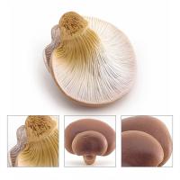 Figuras de hongos modelo vegetal Matsutake Oyste paisaje miniaturas simulación hongo planta Artificial modelo de hongo - details 5