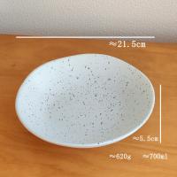 Tinta de salpicaduras irregulares plato de sopa de forma especial tazón grande ensaladera ins vajilla plato de frutas comida occidental cerámica estilo nórdico plato hondo - details 1