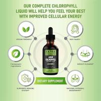 Clorofila gotas 60ml - details 7