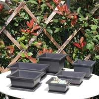 Plantas jugosas cuadradas, ovaladas, hexagonales, bonsái, pequeño éter de plástico en ETA, imitación cerámica morada, venta al por mayor - details 0