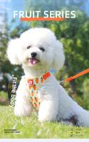Arnés para mascotas con diseño de zanahoria, correa para el pecho, para perros pequeños y medianos - details 0