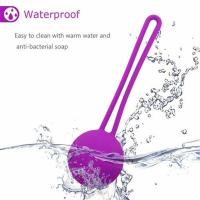 Kit de Pesas de 3Ejercicio Bolas de Control de Inodoro Entrenamiento Vaginal para Mujeres Kit de Entrenamiento del Suelo Pélvico - details 1