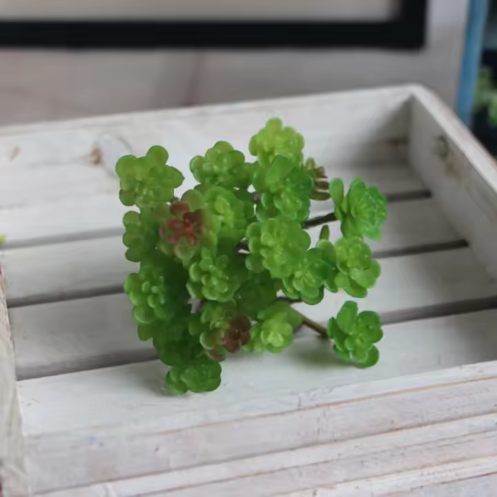 Mini planta de Cactus Artificial de 24 cabezas, planta suculenta Artificial de tacto Real de plástico, decoración de micropaisaje realista - 1