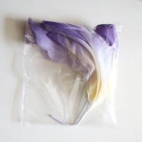 Iris Artificial de 60cm, gasa gigante, cabeza de flor grande, Iris simulado, paisajismo de boda, pétalos esponjosos, flor de hilo, adorno espacial - details 1