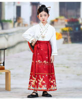 Falda con cara de caballo para niña, conjunto Hanfu, nuevo estilo Ming Tang de primavera para niños grandes, disfraz antiguo de estilo chino - details 14