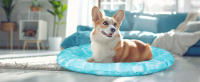 Nobleza - Alfombra Refrescante para Perros, Cama Perro Fria, Manta Refrescante para Mascotas Pequeños y Medianos, Gatos en Verano, Auto Refrigerante, No tóxico, Orbicular - details 10