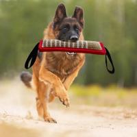 Juguete Interactivo para Masticar para Perros Grandes Duradero con Asa y Cuerda Juguete de Entrenamiento para Mascotas - details 19