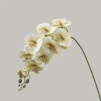 9 ramas artificiales de Phalaenopsis de cabeza, flor de orquídeas de mariposa Artificial hecha a mano realista, flores falsas de tacto Real - details 16