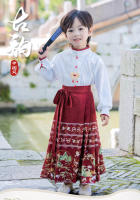 Conjunto de Falda Hanfu para Niñas Otoño 2025 Traje de Estilo Chino Antiguo para Actuaciones de Recitación Zapatos y Ropa - details 0