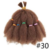 Fibra resistente al calor mujeres africanas pelo sintético Afro rizado pelo trenzado de ganchillo trenzas rizadas a granel peluca rastas ombré - details 4