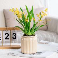 Planta hidropónica jugosa, riego automático interior, mini mesa de comedor floral ETA, decoración de bonsái para jardín y hogar ETA - details 4
