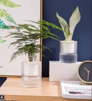 Planta de estilo minimalista para interior y jardín, maceta jugosa para exteriores, maceta autocebante, plan colgante de plástico para balcón - details 1