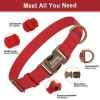 Conjunto Collar personalizado perro, correa plomo caminar, collares de cuero para mascotas, perros pequeños, medianos y grandes, - details 15