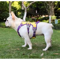 Correa Reflectante de Nylon para Perros Chaleco Oxford con Ventilación 3D, U-Collar Antiasfixia, Correa Ajustable 1.5m, Tallas M-L (Hasta 22kg) - details 12