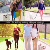 Correa Para Perros Con Reflejo Y Manija Cómoda De Nylon Adecuada Para Pequeños Medianos Y Grandes Cachorros Hasta 300cm - details 2