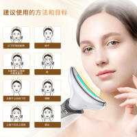 Herramienta de Cuidado de la Piel Facial EMS Instrumento de Alivio del Cuello Nasolabial para Belleza Promoción Grande - details 2