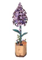 Robotime Rowood Búqueme de Flores DIY Regalo Hecho a Mano Ecológico Rompecabezas de Madera 3D para Decoración de Hogar - details 6