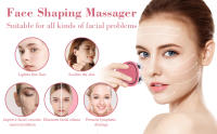 Masajeador Facial